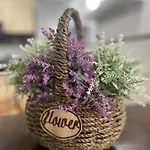 Timi Apartament