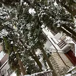 Timi Apartament Brașov