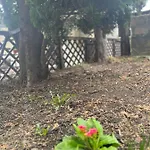 Timi Apartament Brașov