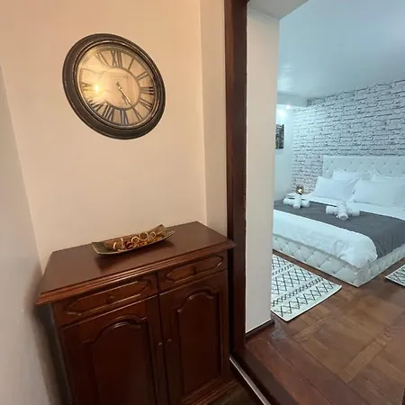 Timi * Braşov