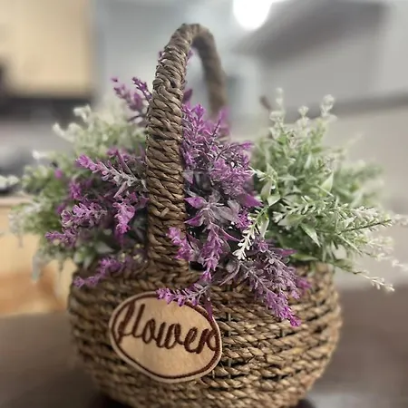 Timi Апартаменты