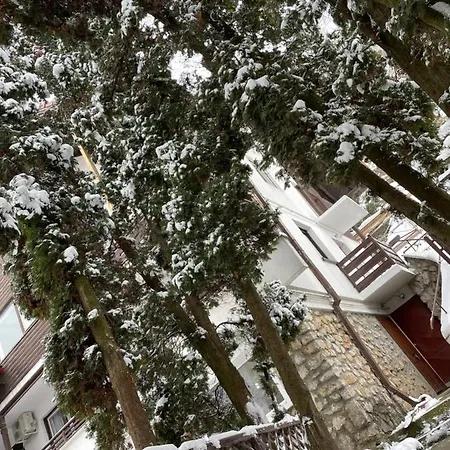 Timi Appartement Braşov