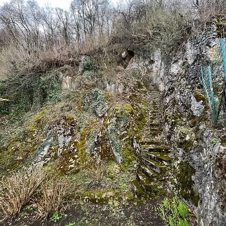 Timi Апартаменты Брашов