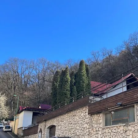 Timi