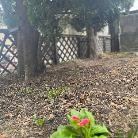 Timi Appartamento Braşov