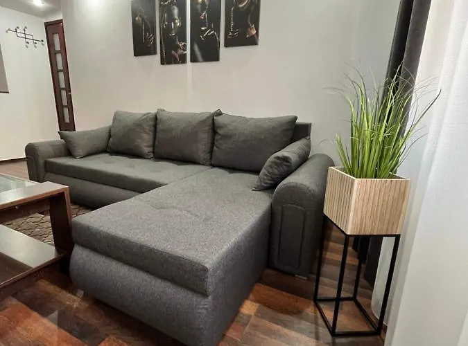 Timi Apartament Braszów