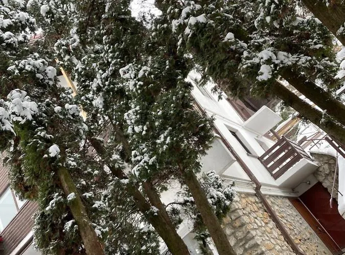 Timi Apartmán Brašov