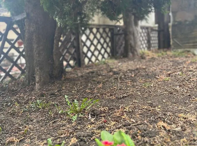 Timi Apartmán Brašov